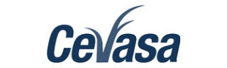 Cevasa